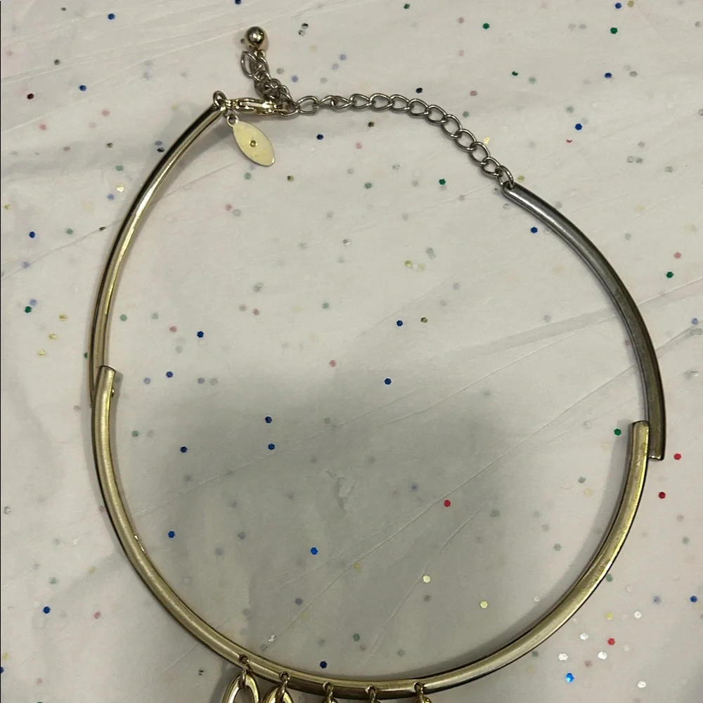 Tortoiseshell Statement Necklace and Gold Choker Set - Picture 6 of 9